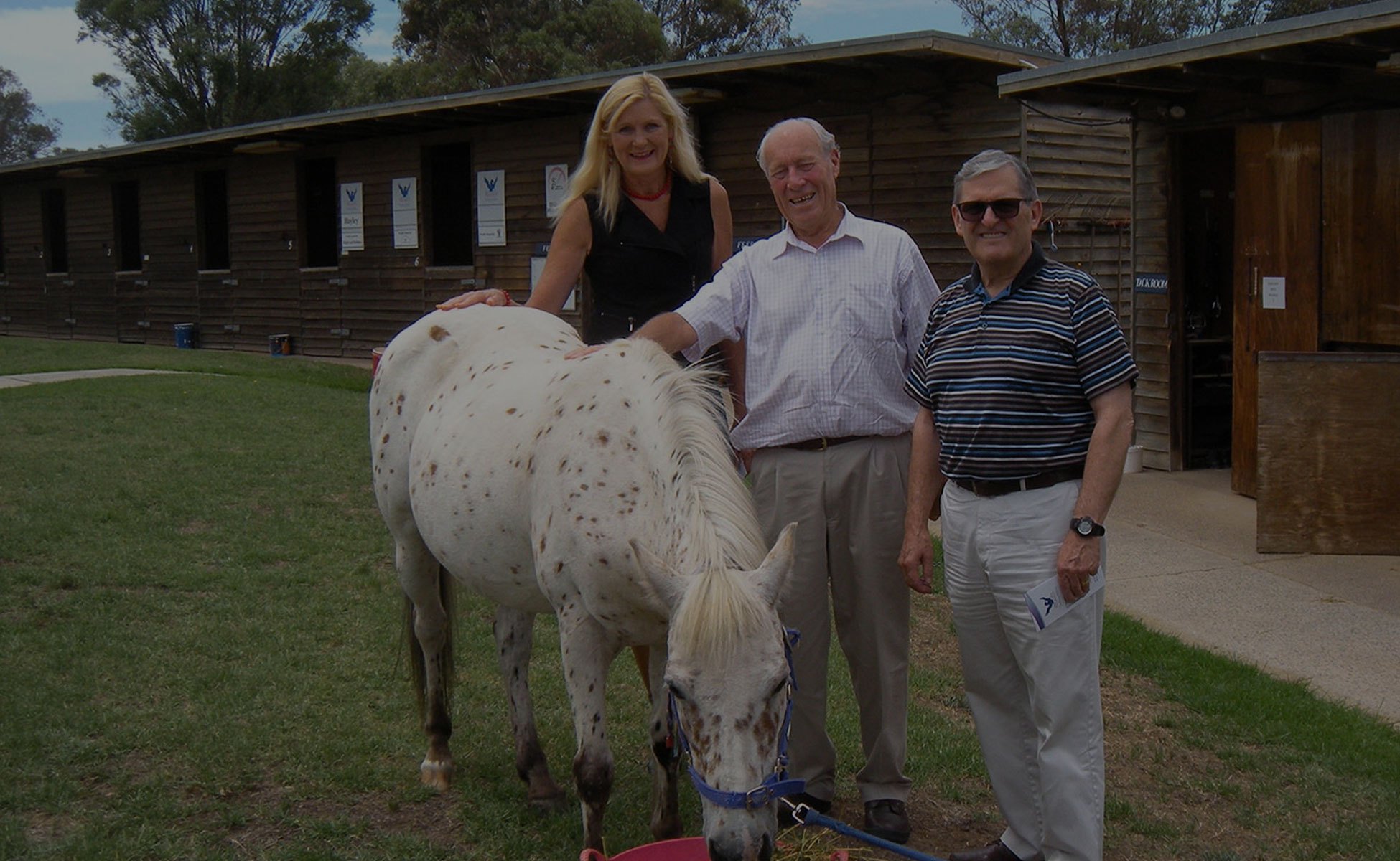 lords-taveners-act-supporting-pegasus
